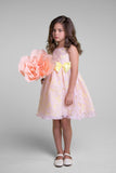 SALE KD382 Yellow and Pink Butterfly Organza Dress (sizes 2 & 10 only)