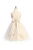 KD522X Blush Pink Lace Sequin V-Back (plus sizes 14.5-20.5)