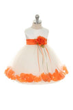 KD195 Ivory Baby Dress with Organza Sash, Flower & Petals (3-24 months)