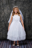 KD198 White Lace Trim Tulle Dress (2-14 years)