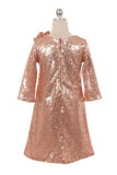 SALE KD408 Vintage Rose Dress (10 years only)