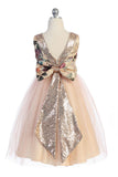 KD520+ Vintage Floral Sequin V Back Blush Dress (plus sizes 14.5-18.5)