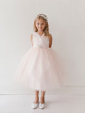 TK5698Blush Pink Glitter Tulle Dress