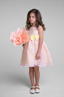 LAST CHANCE KD382 Yellow and Pink Butterfly Organza Dress (sizes 2 & 10 only)