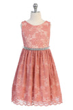 LAST CHANCE KD492 Coral Stretch Lace Dress ( 2 years only)