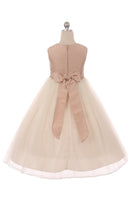 KD428X Vintage Rose Plus Size Poly Silk & Tulle Dress (size 18.5)